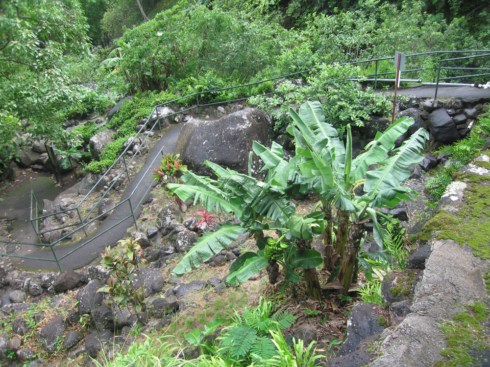 luau_76