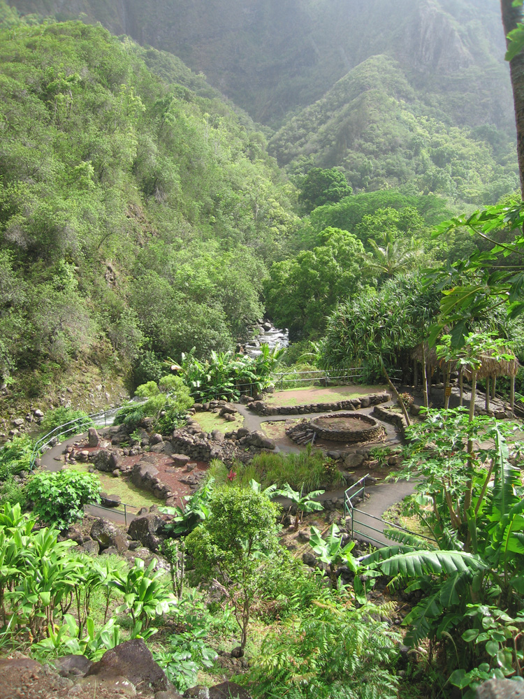luau_85