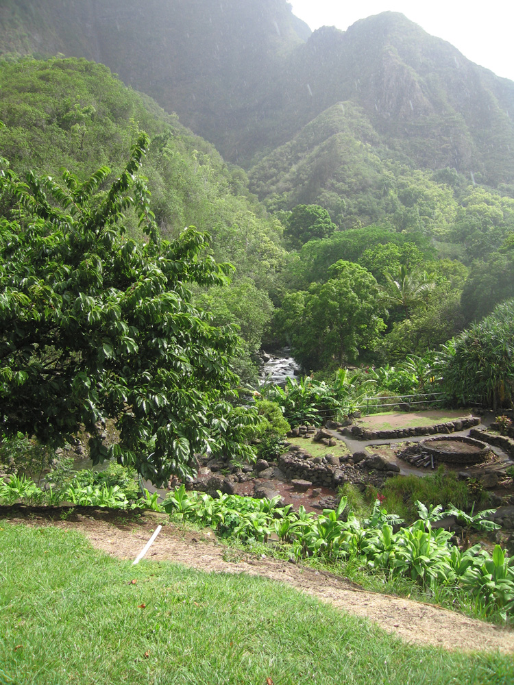 luau_86