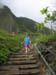 luau_31