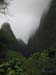 luau_65