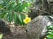 luau_82