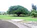 garden_52
