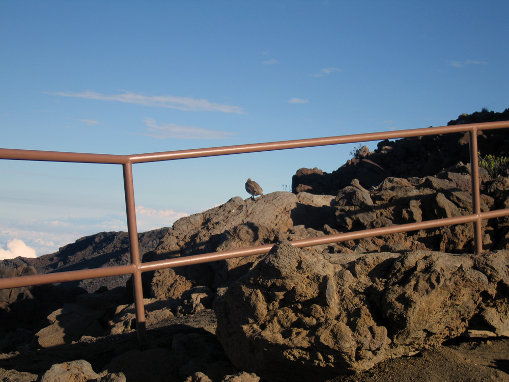 crater_65