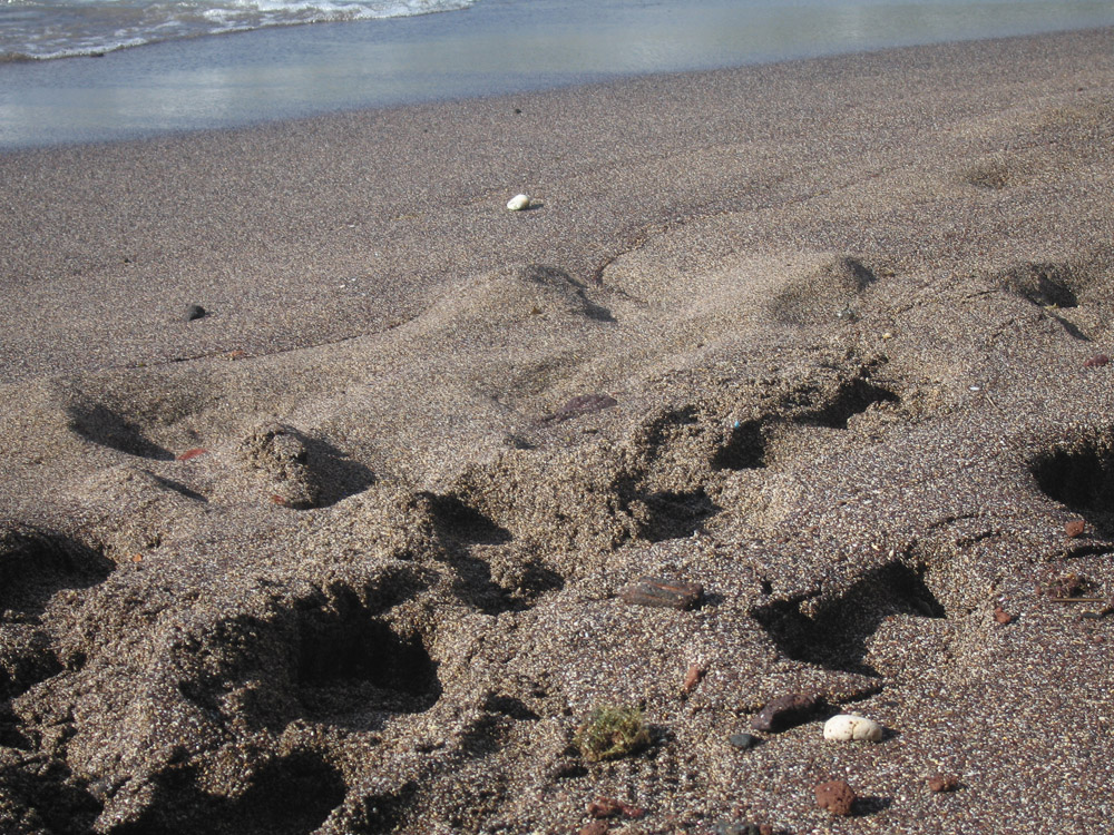beach_16