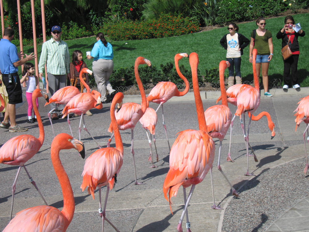 seaworld_06