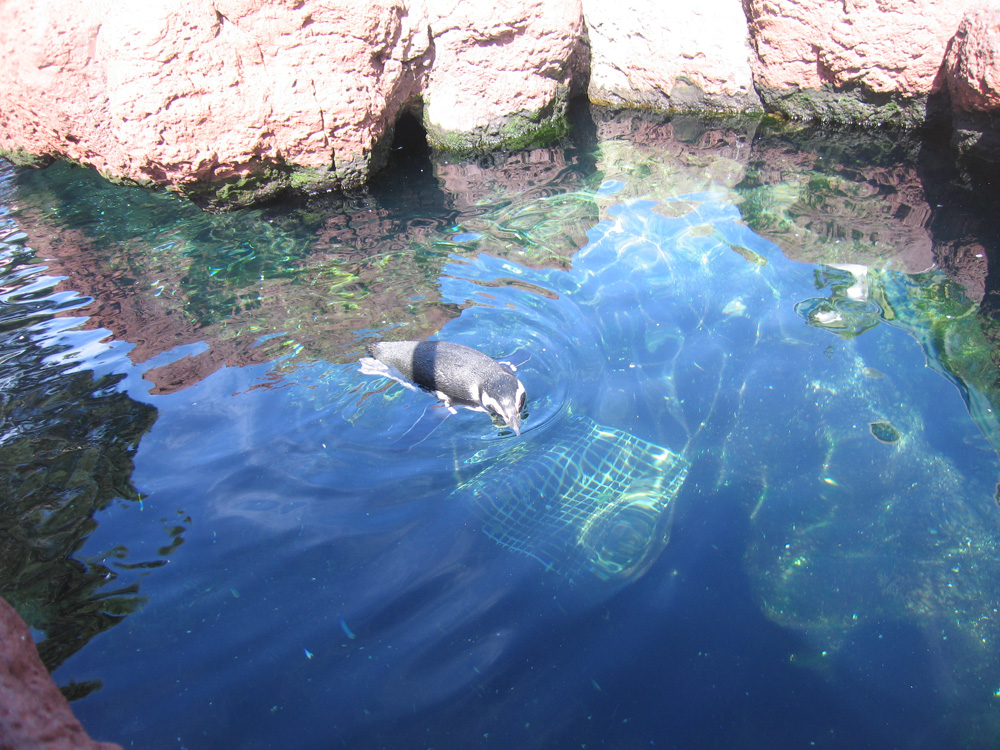 seaworld_09