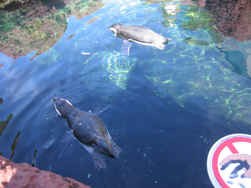seaworld_10