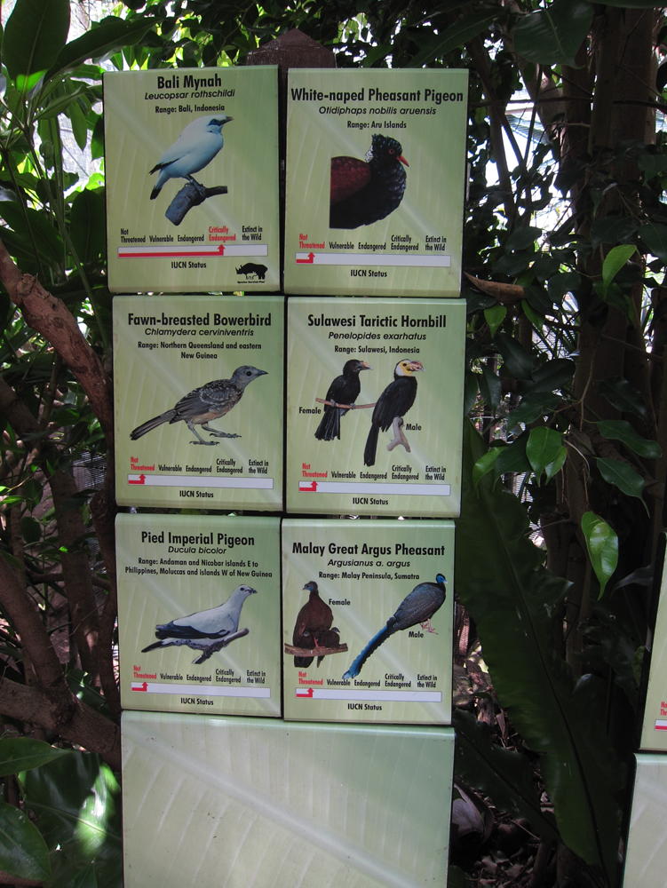zoo15
