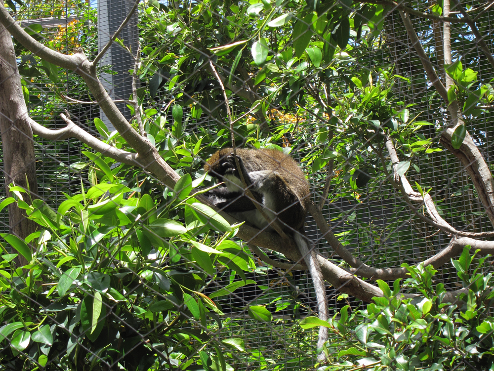 zoo24