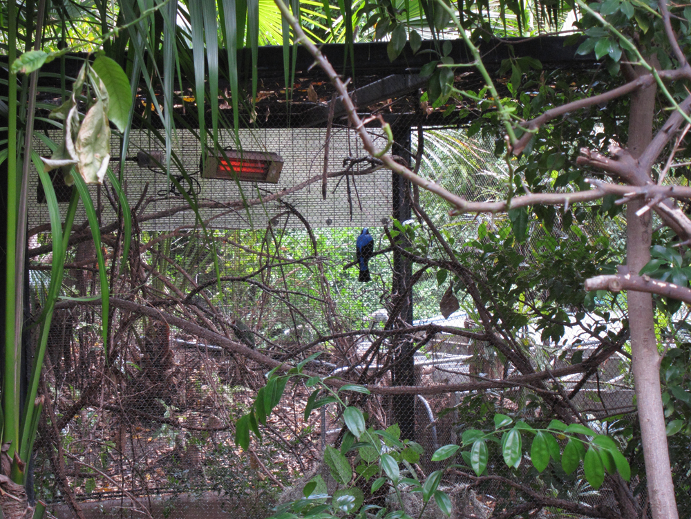 zoo30