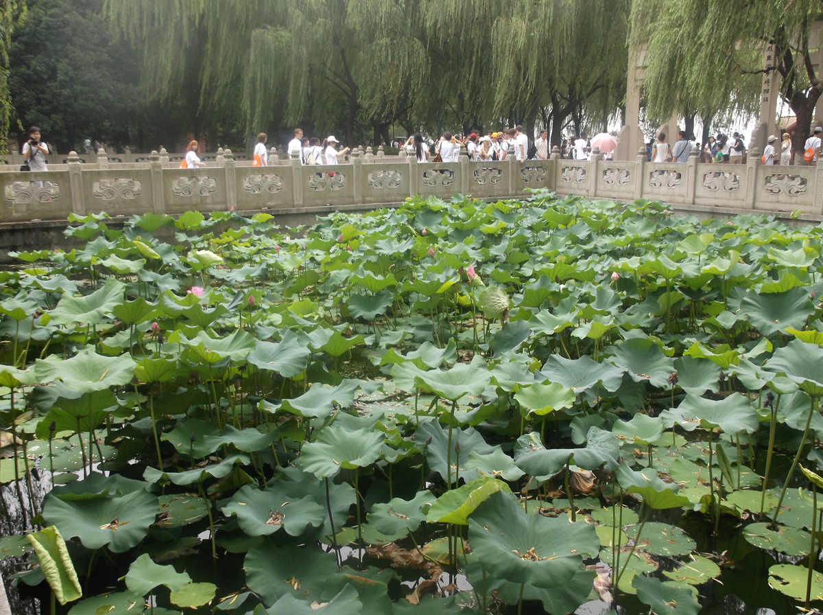 china110