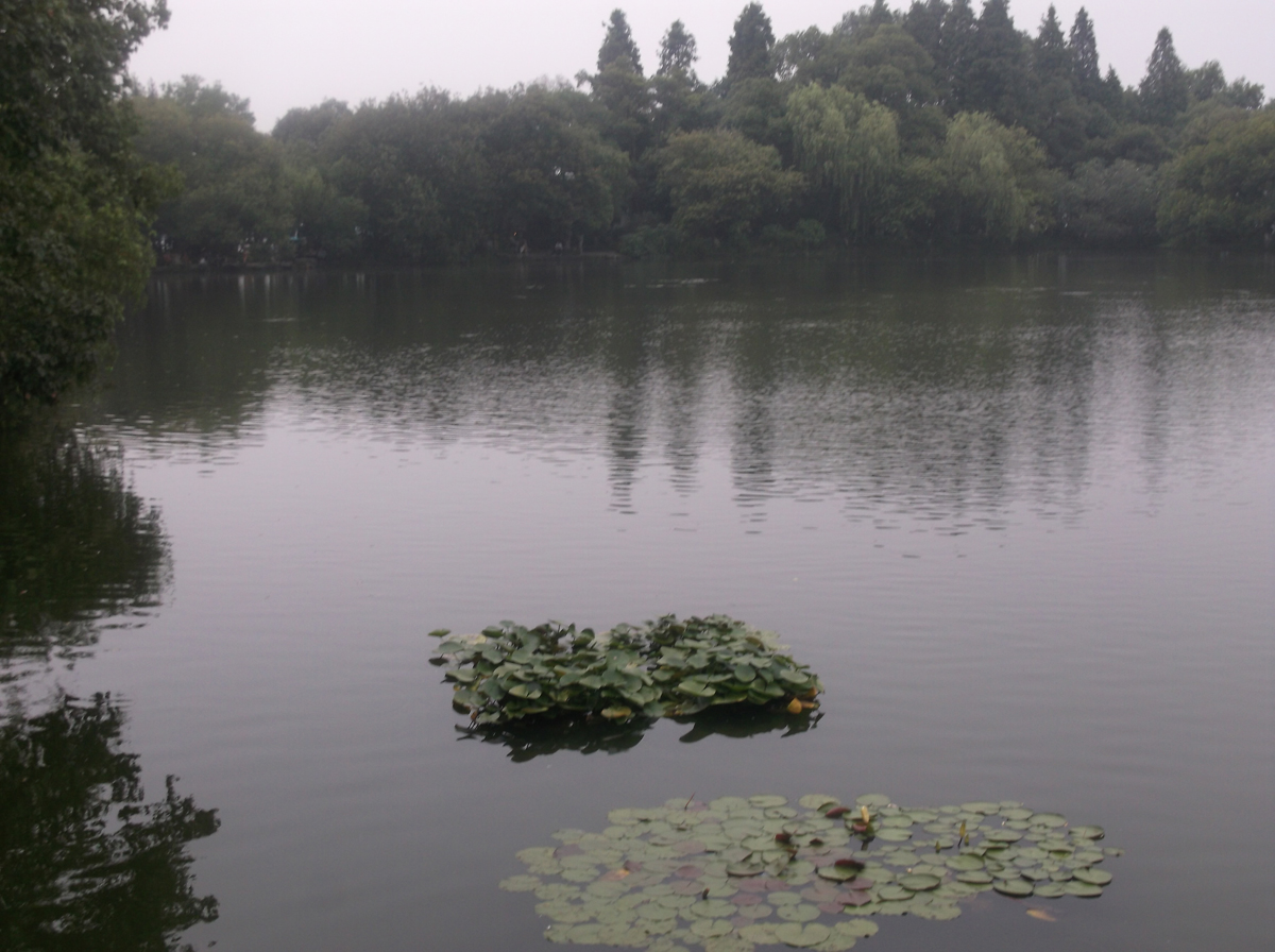china124