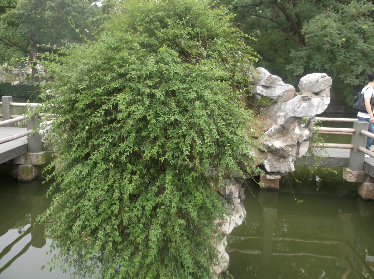 china125