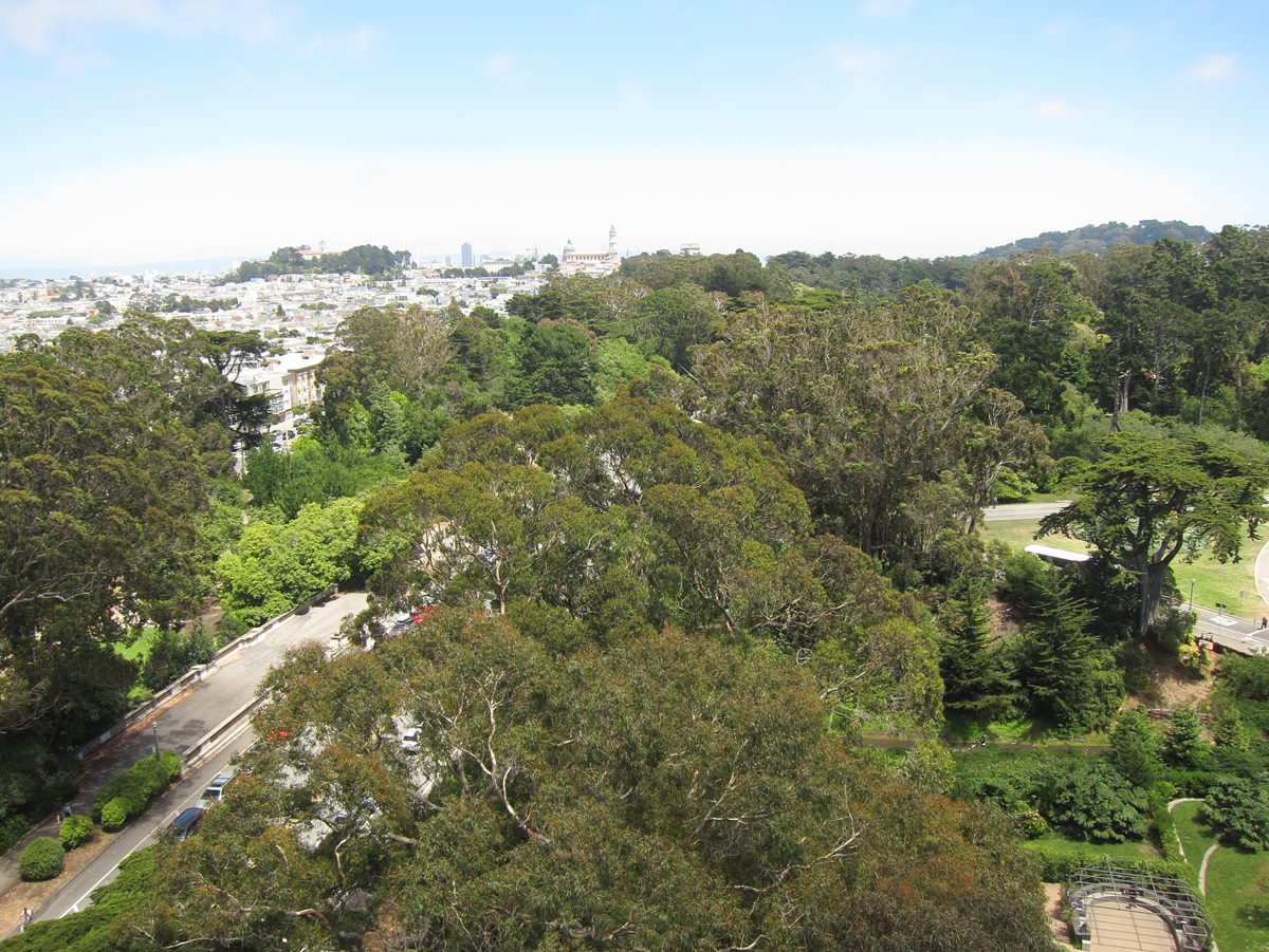 2012_7_5_museum113