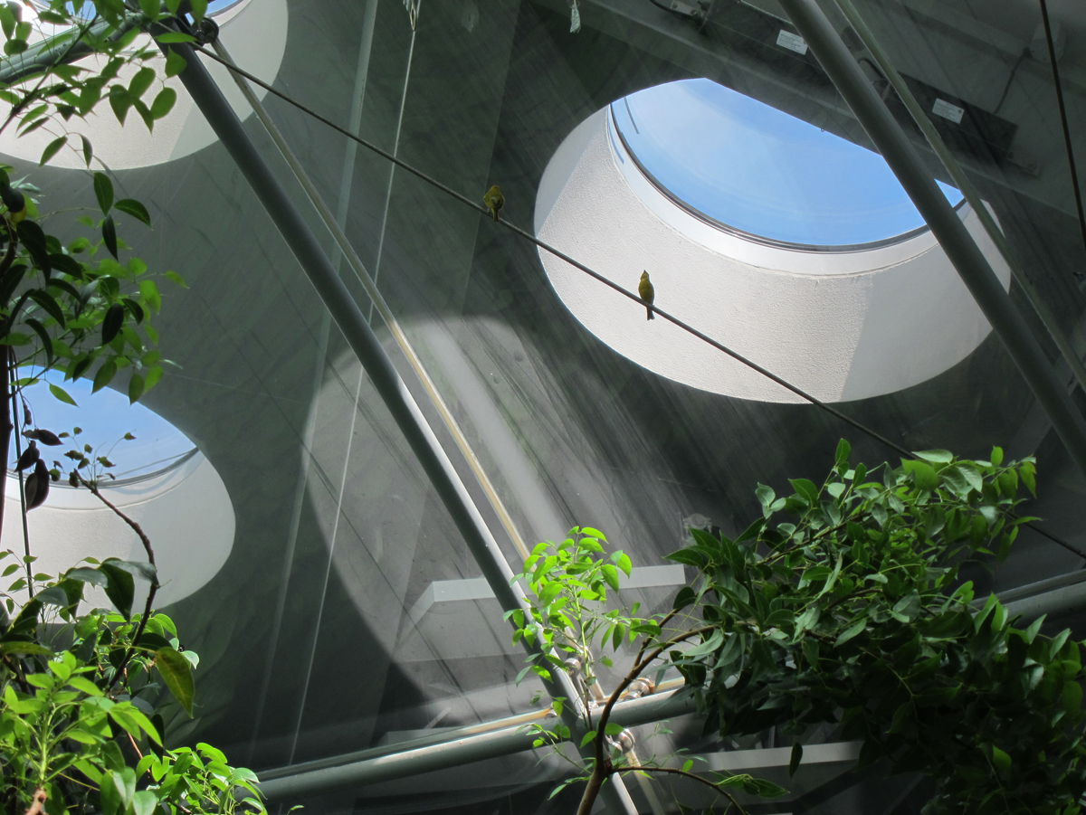 2012_7_5_museum117