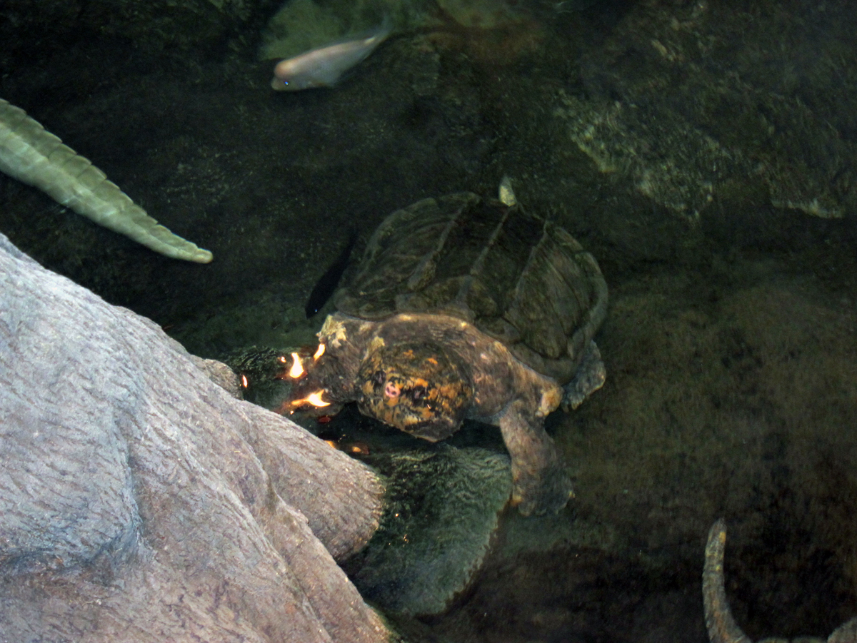 2012_7_5_museum120