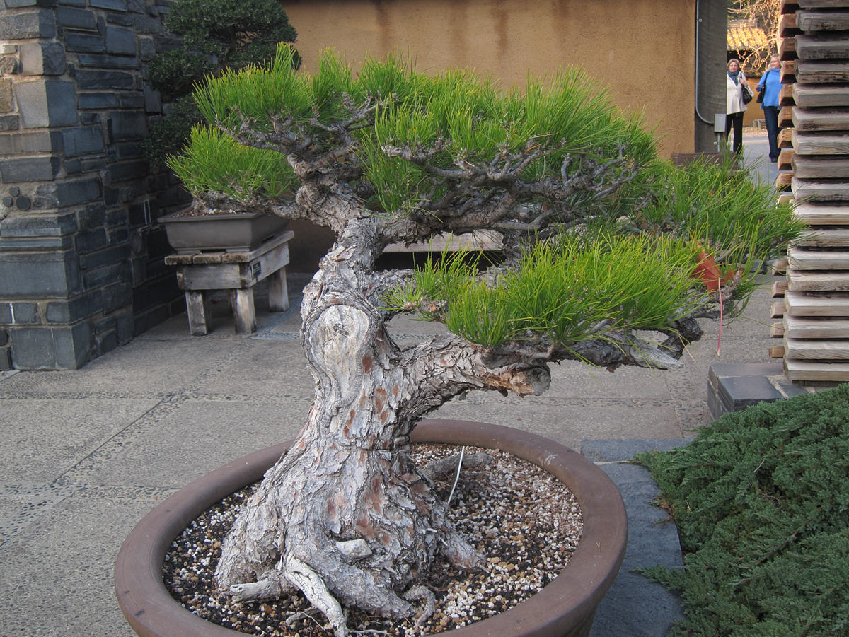 huntington_2209