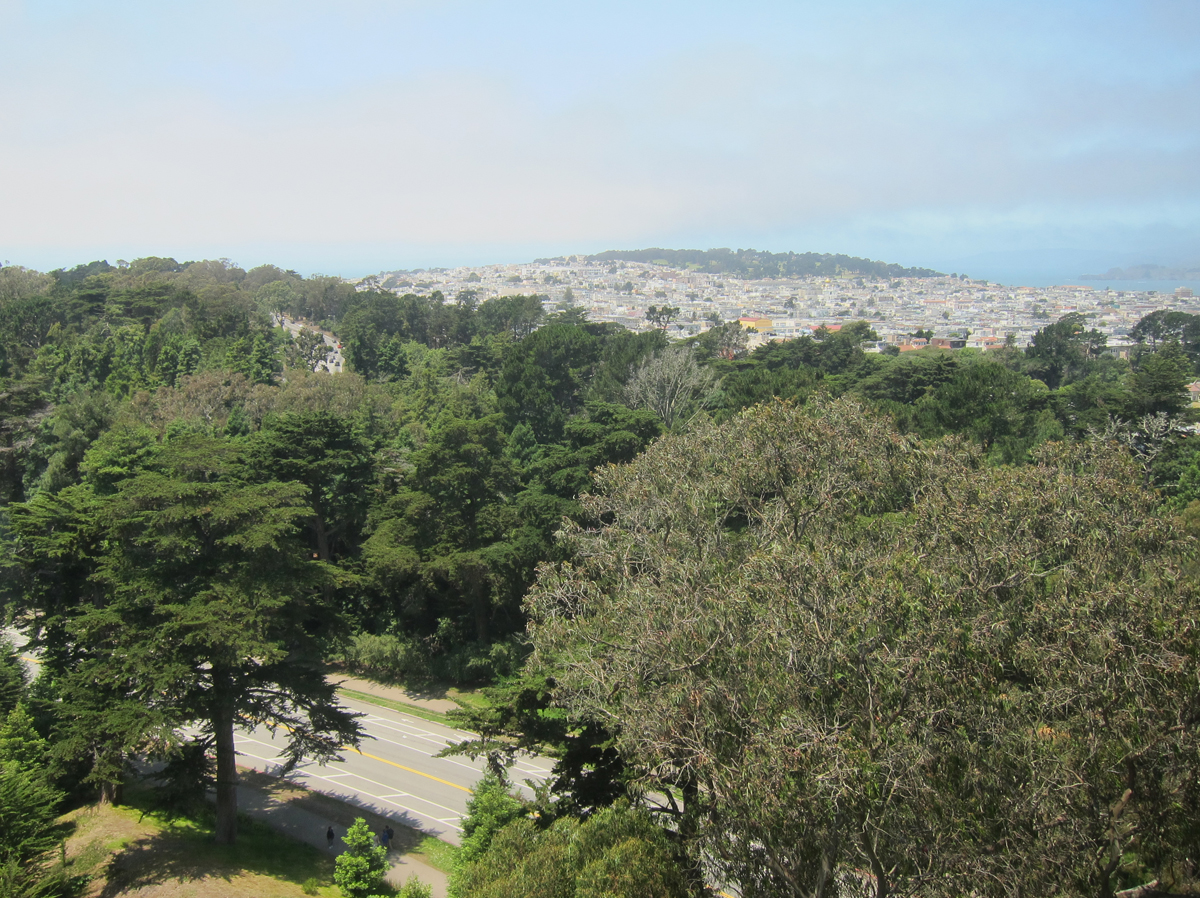 frisco.6.30.2013.115