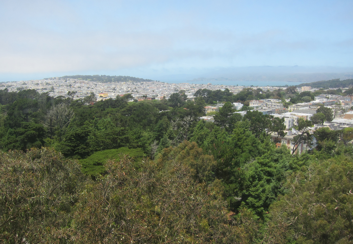 frisco.6.30.2013.118