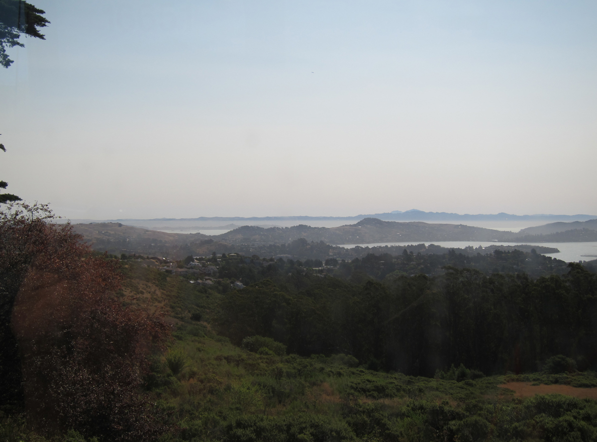frisco.7.1.2013.100