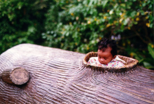 hiding in the tree