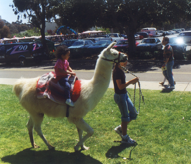 Mari rides a llama!