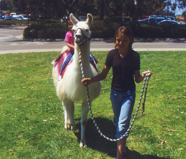 Mari has a way with animals.