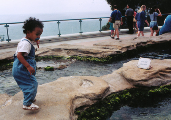 Mari walks the forbidden zone...