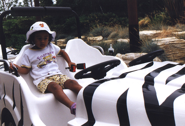 Mari goes on a safari!